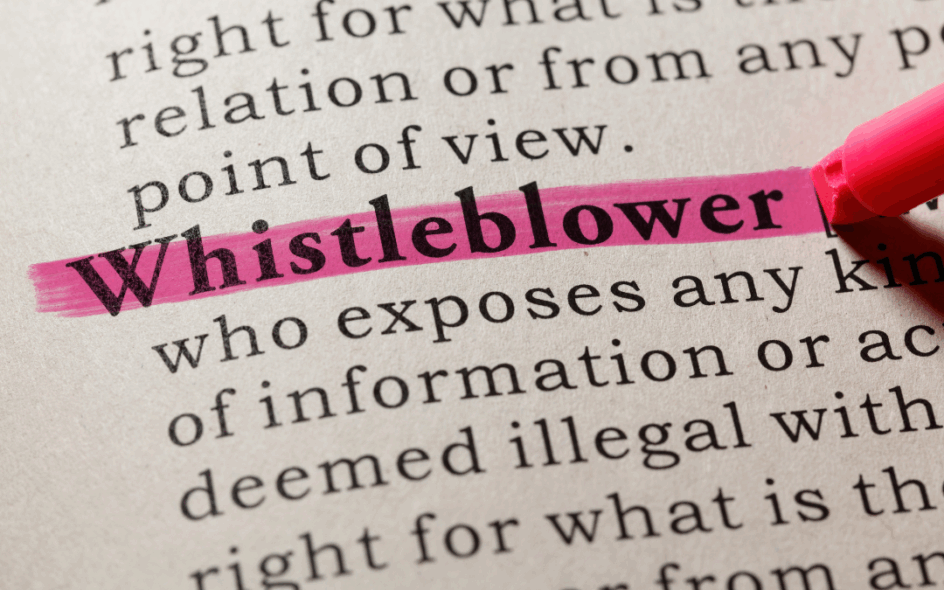 Dictionary description of a 'Whistleblower' with the word highlighted in pink.